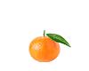 clementine Spreafico