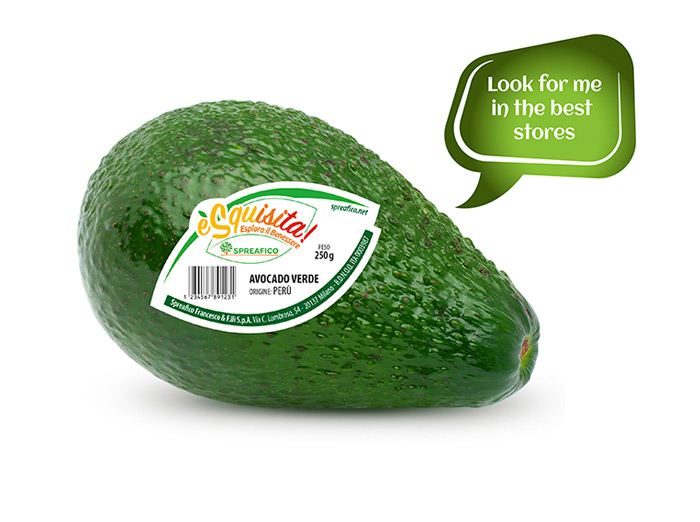 valori nutrizionali avocado verde Spreafico