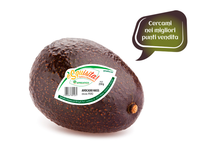 valori nutrizionali avocado hass Spreafico