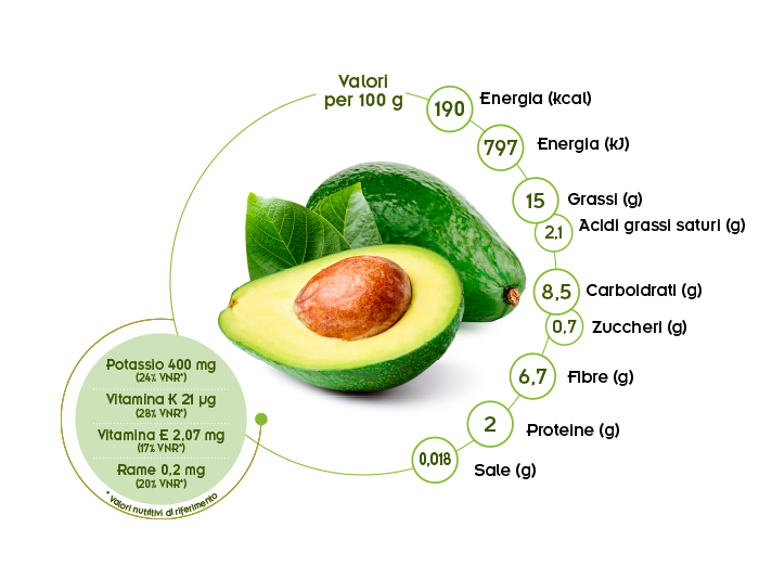valori nutrizionali avocado verde Spreafico