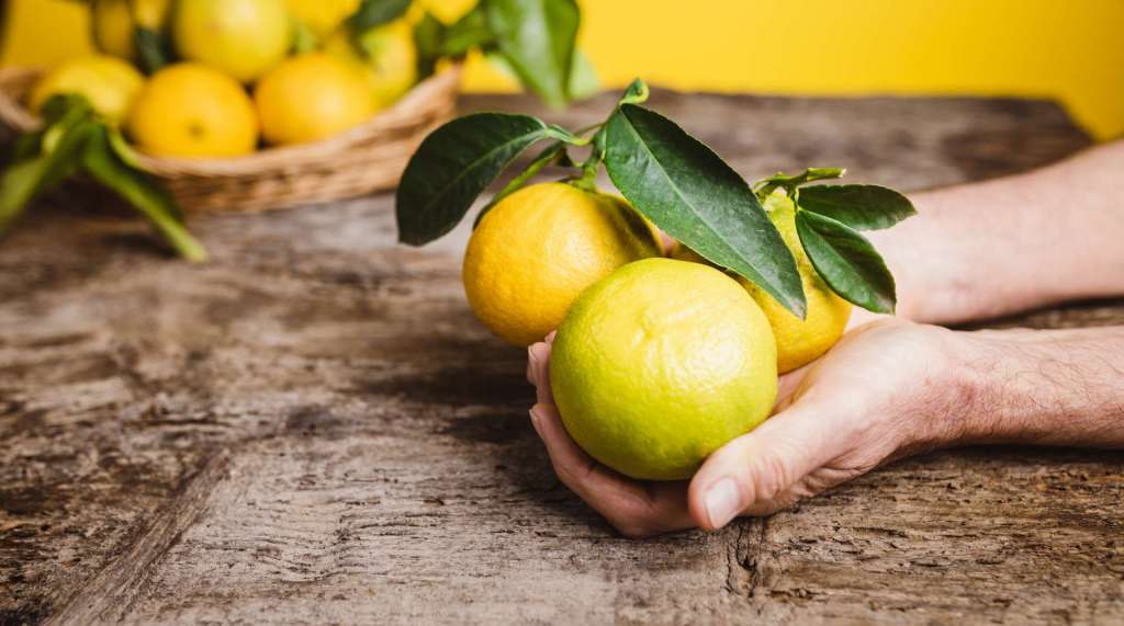 Spreafico Frutta Fresca • Limone, bergamotto, cedro - Agrumi - Bergamotto